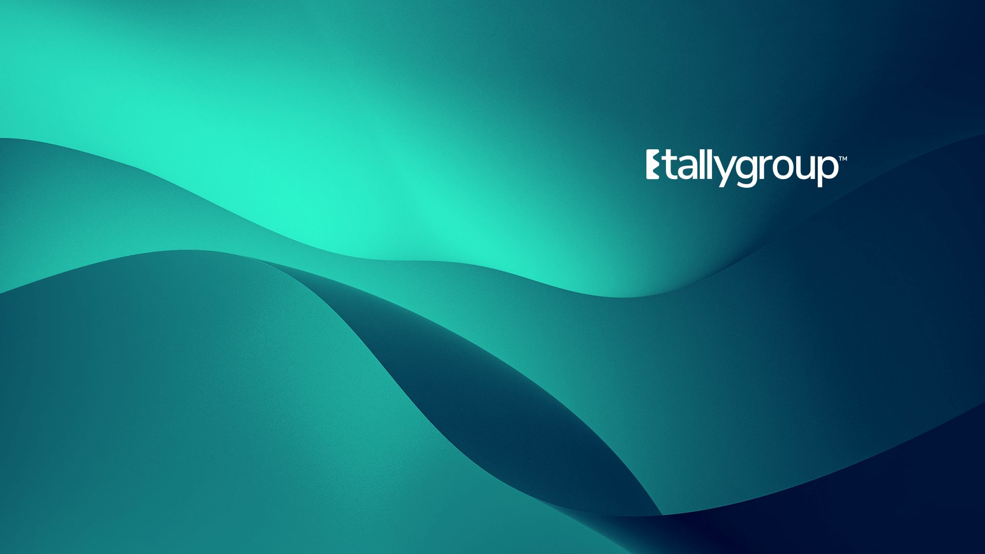 Tally Group brand graphic